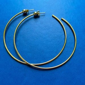 Brand new Jenny Bird Icon hoops medium